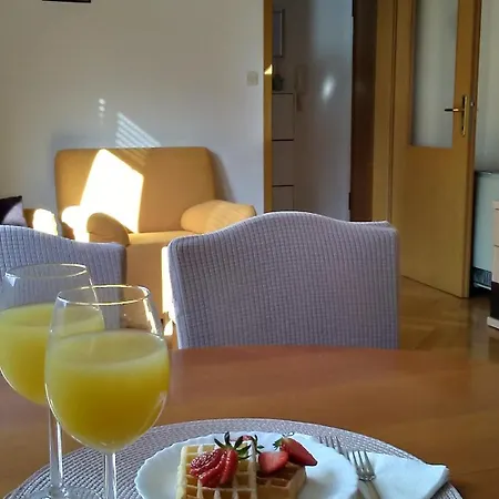 Visnjik 7-free Parking Apartman