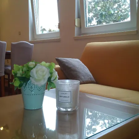 公寓 Visnjik 7-free Parking