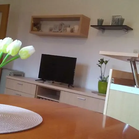 Visnjik 7-free Parking 公寓 扎达尔